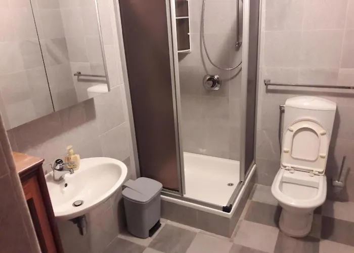 - One Bedroom 아파트 *